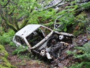 Car in Woods